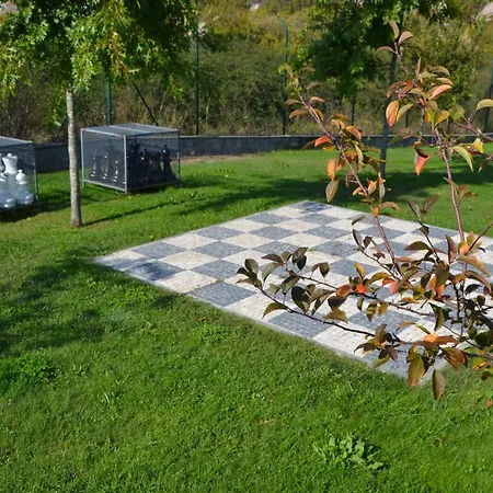 Portoo Blue - Amazing Daire *